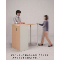 フラットラインストレージ（高さ1100mm）専用サイドカウンター　メープル　プラス　（直送品）