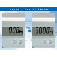 エー・アンド・デイ　デジタル台はかり　FG30KAM＜ひょう量:30kg 最小表示:0.005kg＞