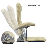 ミヤタケ（宮武製作所）　折りたたみ座椅子（肘付）　ベージュ　YS-1046　BE　（直送品）