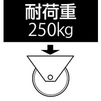 エスコ 125mm キャスター(自在・後ブレーキ付・ステンレス製) EA986LH-1 1個（直送品）