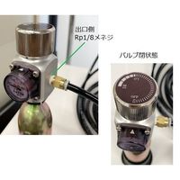 アズワン ポータブル高圧ガスボンベ用減圧弁 2-113-02 1本（直送品）