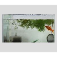 アズワン 抗菌防藻防かび剤(KENIFINE(TM)) L 1個 2-718-03（直送品）