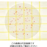 ネオジェンジャパン ペトリフィルム(TM)培地 (水中一般生菌数測定用/50枚×2袋) 6450AQHC 1箱(100枚)（直送品）