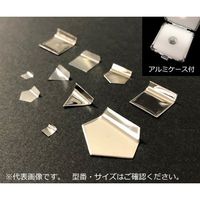 アズワン 分銅 Eー2級 50mg 1個 3-1586-13（直送品）