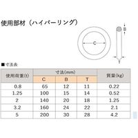 大洋製器工業 TAIYO 4本吊 ワイヤスリング 5t用×2m(1011707) 4WRS 5TX2 1セット(1個) 473-0488（直送品）
