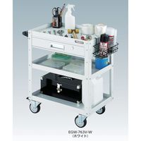 EGW-963VUJ-YG（直送品）