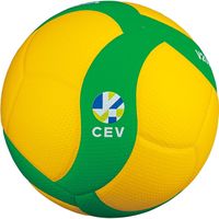 ミカサ(MIKASA) 公式試合球5号 V200WCEV 2個（直送品）