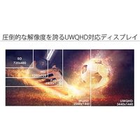 ジャパンネクスト 34インチ ウルトラワイド曲面ディスプレイ JN-VCG34144UWQHDR 1個（直送品）