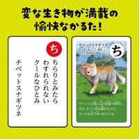 アーテック 変ないきものかるた 3568 1セット(5個)