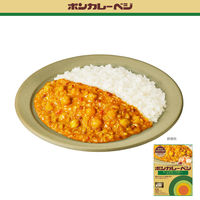 大塚食品 ボンカレーベジ ビーンズキーマカレー 中辛 180g 1セット（2個） レンジ対応
