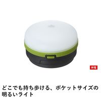 ROSY ダウンライトミディ 74175007 1個 LOGOS/ロゴス