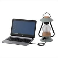 Bamboo ゆらめき・モダーンランタン 74175018 1個 LOGOS/ロゴス