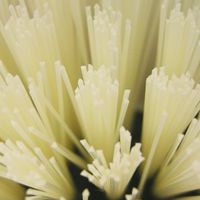 ブラシ 道具洗いブラシ ハンディ 353298 1個 日本クリンテック（直送品）