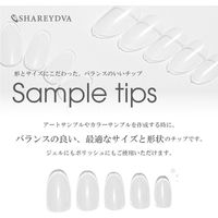 ＳＨＡＲＥＹＤＶＡサンプル用チップＮ クリア （ラウンド） ＃６ ５０Ｐ 113717 1個（直送品）