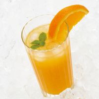 タイガークラウン #213 ハンド アイスクラッシャー 1個（直送品）