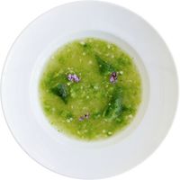 タイガークラウン #3944 野菜おろし&トレイ 1箱（直送品）