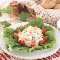 タイガークラウン #587 ジューサーマッシャー 1箱