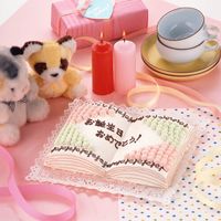 タイガークラウン #911 ブック型 大 1個（直送品）