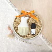 デコレコーポレーション アロママスコットセット トリ AG-43497 1セット（直送品）