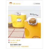 デコレコーポレーション ひょっこりハムマグ GY HC-17082 1個（直送品）