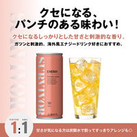 【エナジードリンク】富永貿易 サバイバー エナジードリンク 250ml 1セット（6缶）