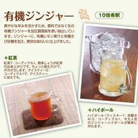 ジンジャーシロップ　有機コーディアルジンジャー　500ml ユウキ食品