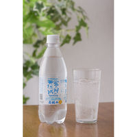 友桝飲料 蛍の郷の天然水スパークリング 500ml 1箱（24本入）