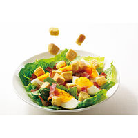 キューピー　サラダクラブ　クルトン　1袋（16g）　1セット（10袋入）