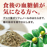 【トクホ・特保】ヤクルト 蕃爽麗茶 2L 1箱（6本入）