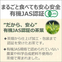 【水出し可】伊藤園 有機粉末茶 丸ごと茶カテキン 1袋（40g）