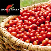 【インスタントコーヒー】【瓶】マウントハーゲン　オーガニック　インスタントコーヒー　1本（100g）