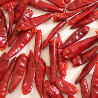 業務用 唐がらし（サヤ）300g 1個 ユウキ食品　唐辛子