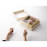 大仙 標本風フレーム アンレール 150角 ライトブルー B006B0102 1個（直送品）