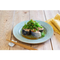 缶詰 氷温熟成 国産さば水煮 三陸産さば使用 150g 1セット（5缶） いなば食品