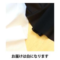 オルヌマン アウルスママ 織物接着芯地 150×100cm 片面接着 白 ふつうタイプ WF-50N WF-50W 1セット(10枚)