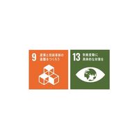 ホッティーポリマー 透明樹脂ブロック デュラビオR(エクリカR)ブロック HPECB100-24C 1個 64-4380-23（直送品）