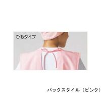 ワコウ センシアRエプロン ノースリーブ ひもタイプ ブルー E1110-1H 1枚 64-6227-88（直送品）