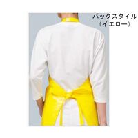 ワコウ マイティクロスRエプロン 胸当て 首掛け アイレット仕様 LL ホワイト E2001-0-LL 1枚 64-6228-36（直送品）