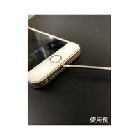 エルメック グリーンスティック(工業用綿棒) GS-2000 1セット 64-7661-03（直送品）