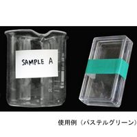 アイシス パステルカラーテープ (幅15mm×5m) パステルブルー 64-8942-21 1巻（直送品）