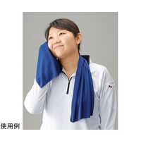 日本緑十字社 冷感タオル クールタオル(カラビナボトル付) ブルー 300×950mm 375670 1枚 64-8948-21（直送品）