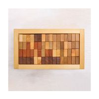 アズワン 積み木 64-9339-82 1セット（直送品）