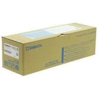 アズワン メスシリンダー カスタムA 500mL 中国語版校正証明書付 1-1959-10-57 1個（直送品）