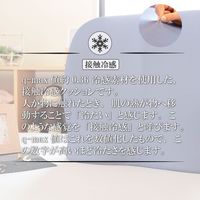1枚 接触冷感 腰楽 クッション 低反発 ブルー 約40×40×3.5cm ひんやり クール 座布団 シートクッション 冷たい 腰痛（直送品）