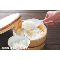 田辺金具 ライススクープしゃもじ ミニ170mm ミント 2089166 1本