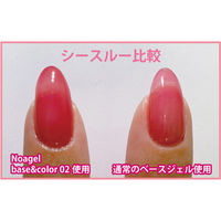 SHAREYDVA Ｎｏａ ｇｅｌ（ノアジェル） Ｂａｓｅ＆Ｃｏｌｏｒ 2 ４ｇ 1個（直送品）