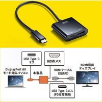 サンワサプライ USB Type C-HDMI変換アダプタ(4K/60Hz/PD対応) AD-ALCPHDPD 1個（直送品）