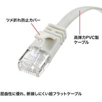 サンワサプライ カテゴリ6AフラットLANケーブル(ホワイト・10m) KB-FL6A-10W 1本