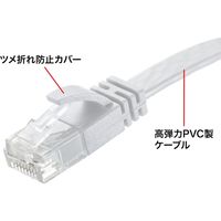 サンワサプライ カテゴリ6AフラットLANケーブル(ホワイト・15m) KB-FL6AL-15W 1本