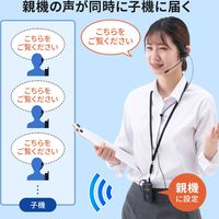 サンワサプライ ワイヤレスガイドシステム MM-WGS3 1個（直送品）